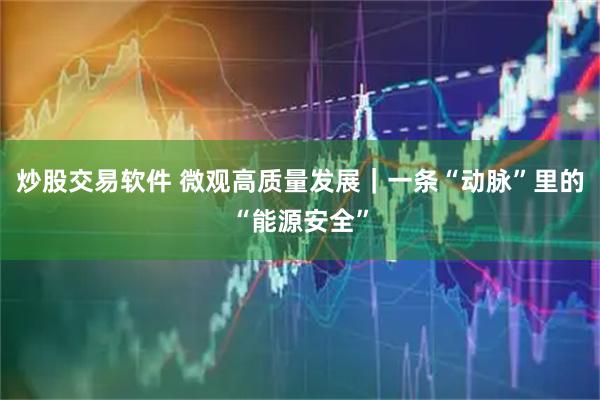 炒股交易软件 微观高质量发展｜一条“动脉”里的“能源安全”