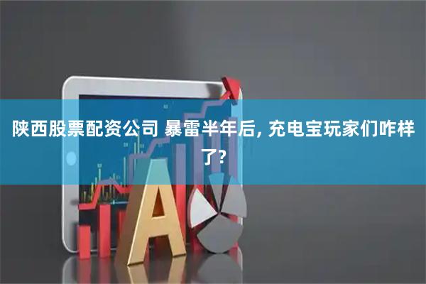 陕西股票配资公司 暴雷半年后, 充电宝玩家们咋样了?