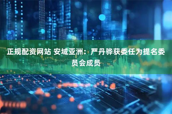 正规配资网站 安域亚洲：严丹骅获委任为提名委员会成员