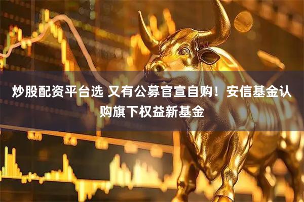 炒股配资平台选 又有公募官宣自购！安信基金认购旗下权益新基金